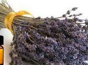 Aromaterapia para combatir ansiedad