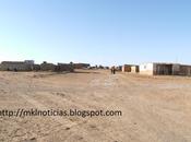 Viaje campamentos refudioados sahara argelia