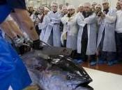 pesca atún rojo Barbate convierte atracción turística