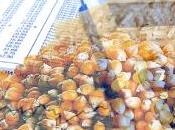 Aumento producción regulación mercados: Objetivos para Organización Mundial Agricultura