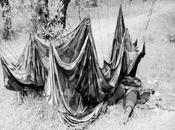 Gramática nocturnal