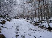 camino blanco