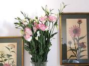 Rincones: Libros flores