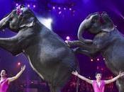 Dinamarca pagó millones para liberar cuatro elefantes circo