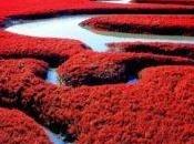 Playa Roja, paisaje debes visitar