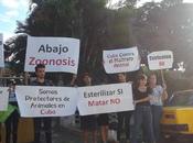 Activistas cubanos protestan contra maltrato animal Habana