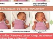 importancia pecho demanda