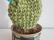 Cactus three