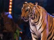 Francia: París pondrá circos animales para 2022