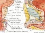 Hombres, dedo puede salvarnos vida