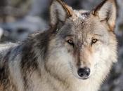 tres palabras importantes liderazgo para pasar siguiente parte nuestra acción.