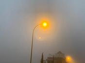 Humanos niebla
