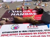 Activistas realizan huelga hambre frente Palacio Gobierno