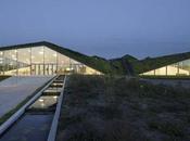 Mímesis ecológica museo