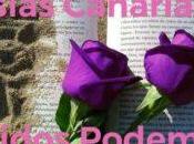 corazón morado