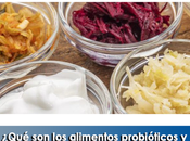 Artricenter: ¿Qué alimentos probióticos prebióticos?