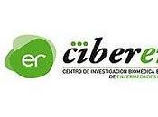 Becas Lanzadera Bancaja CIBERER España 2011
