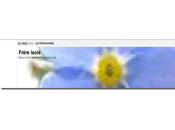 Carta Blog Frère Isolé Víctor Guerra. ¿Qué hacer?