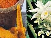 Cúrcuma: Baja colesterol, para artritis ataques cardiacos