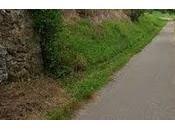 camino iniciático, nuestra seña identidad