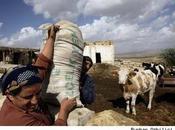 Pueblo turco donde habitantes mueren cáncer