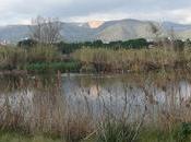 Estany Olla Joan Castelldefels