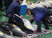 #Alimentos: Subastan millones euros primer #atún 2020 #Tokio Gastronomia #Pezca