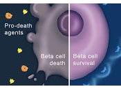 Descubren Nuevo Objetivo para Tratar Diabetes