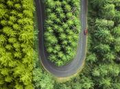 Volkswagen matricula 6,27 millones unidades globalmente 2019, 0,5%