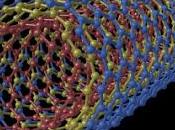 Nanotubos