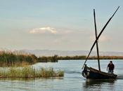 Escapada Albufera Valencia