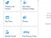 Fila virtual Rise Resistance Disneyland