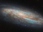 galaxia espiral barrada impresionante: 7541