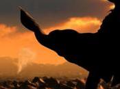 Amazon cancela adaptación televisiva 'The Dark Tower'