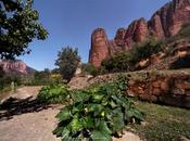 Venerdí Photosatriani