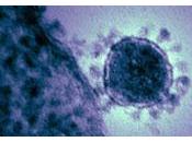 Evalúan Fármacos experimentales para tratar nuevo coronavirus