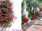 Estallido floral