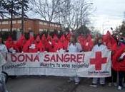 Mundial Donante Sangre 2011