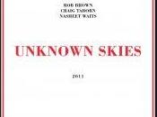 Brown Trio: Unknown Skies (Rogue Art, 2011)