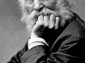 500.- "Toda teoría universo está dirigida infaliblemente hacia solo individuo, eres