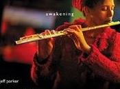 Nicole Mitchell: Awakening (Delmark, 2011)