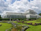 Arquitectura como Técnica: Palm House Gardens