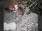 últimos pacientes ayer