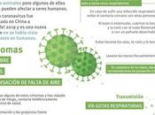 necesitas saber Coronavirus minuto. What need know about Covid minute. 您需要在一分鐘之內了解冠狀病毒。