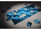 Nueva Estrategia para tratar Hígado Graso Alcohólico