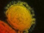 Coronavirus Ébola, ¿Quién peligroso?