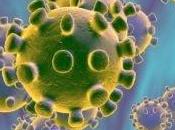 todo mundo debería saber llegara Coronavirus Venezuela