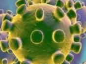 virus viral