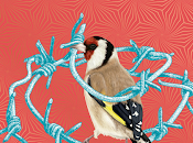 Niños Mutantes estrenan Todo tiene precio