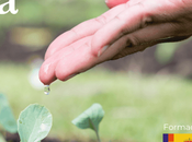 SEPE impulsa sector agrario medioambiental cursos online 100% subvencionados